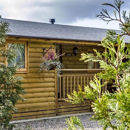 Laurel Lodge - 2 Bedroom Log Cabin - St Florence Saint Florence Exterior foto